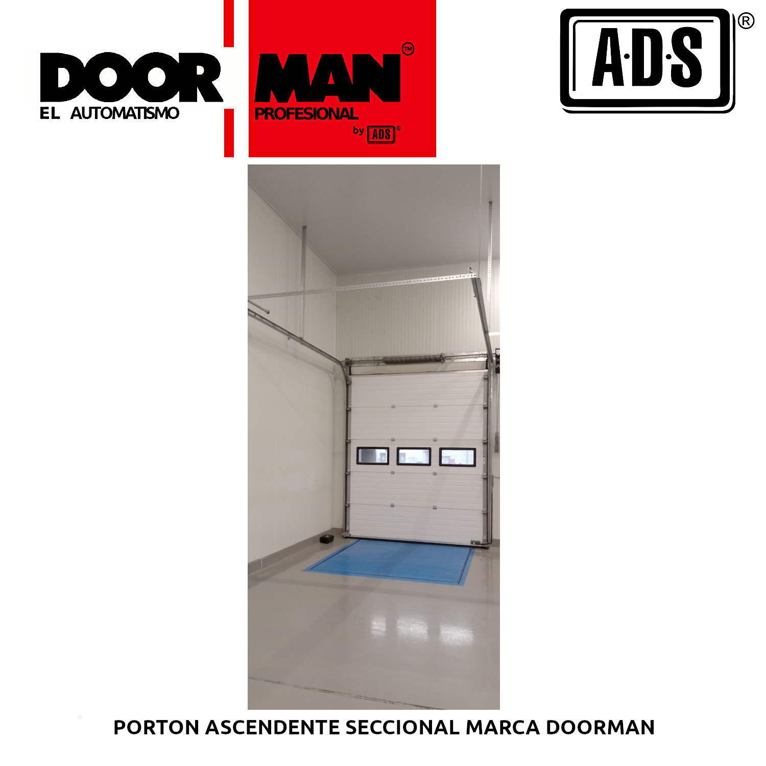 PORTON ASCENDENTE SECCIONAL INDUSTRIAL MARCA DOORMAN